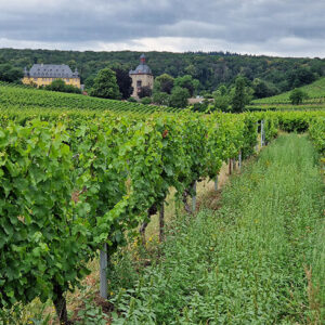 La Germania del Riesling