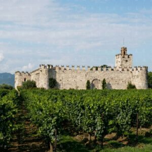 La Franciacorta come mosaico | Firenze