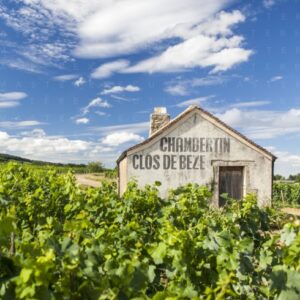 La Borgogna a Caserta